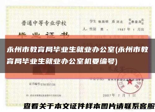 永州市教育局毕业生就业办公室(永州市教育局毕业生就业办公室机要编号)缩略图