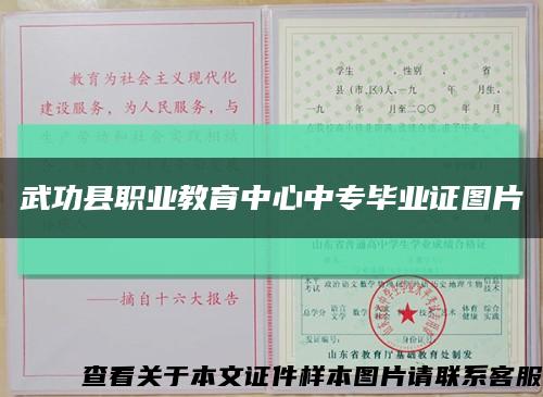 武功县职业教育中心中专毕业证图片缩略图