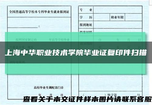 上海中华职业技术学院毕业证复印件扫描缩略图