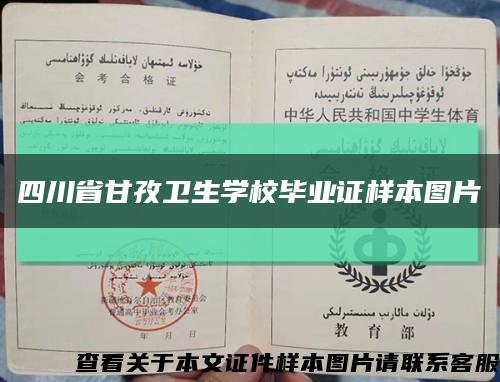 四川省甘孜卫生学校毕业证样本图片缩略图