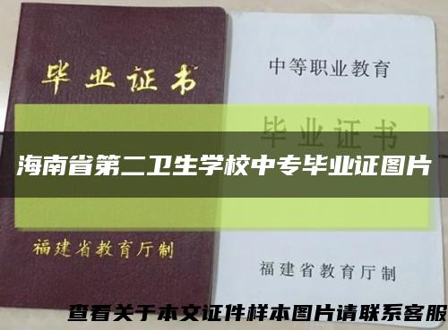 海南省第二卫生学校中专毕业证图片缩略图