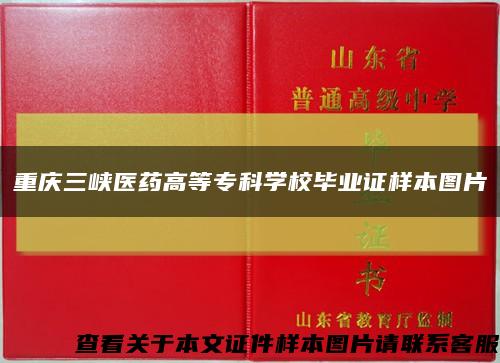 重庆三峡医药高等专科学校毕业证样本图片缩略图