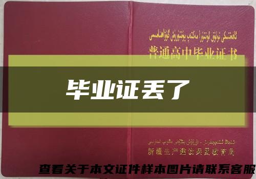 毕业证丢了缩略图