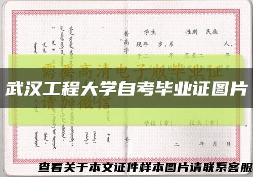 武汉工程大学自考毕业证图片缩略图