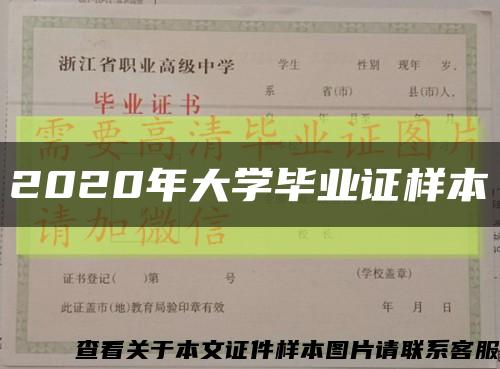 2020年大学毕业证样本缩略图
