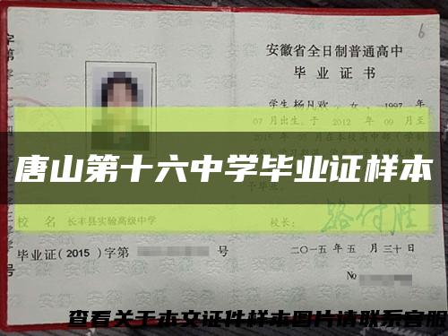 唐山第十六中学毕业证样本缩略图