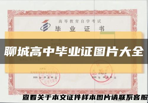 聊城高中毕业证图片大全缩略图