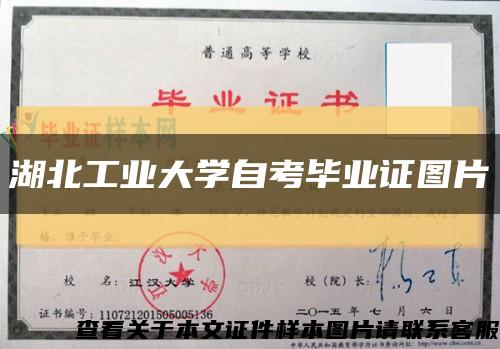 湖北工业大学自考毕业证图片缩略图