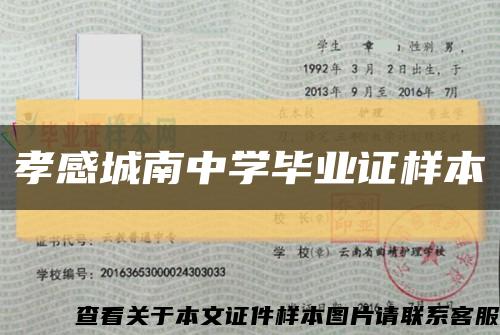 孝感城南中学毕业证样本缩略图