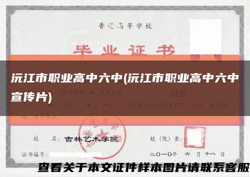 沅江市职业高中六中(沅江市职业高中六中宣传片)缩略图