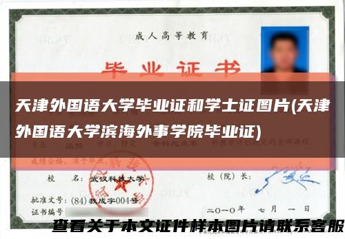 天津外国语大学毕业证和学士证图片(天津外国语大学滨海外事学院毕业证)缩略图