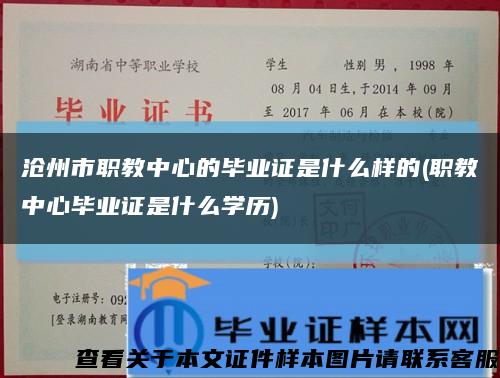 沧州市职教中心的毕业证是什么样的(职教中心毕业证是什么学历)缩略图