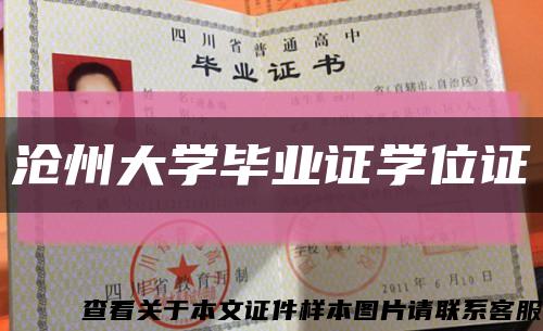 沧州大学毕业证学位证缩略图
