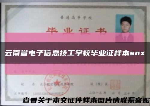 云南省电子信息技工学校毕业证样本snx缩略图