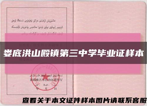 娄底洪山殿镇第三中学毕业证样本缩略图