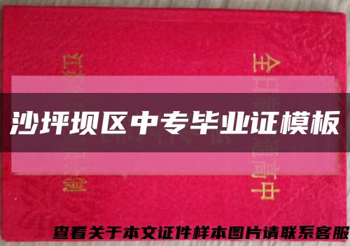 沙坪坝区中专毕业证模板缩略图
