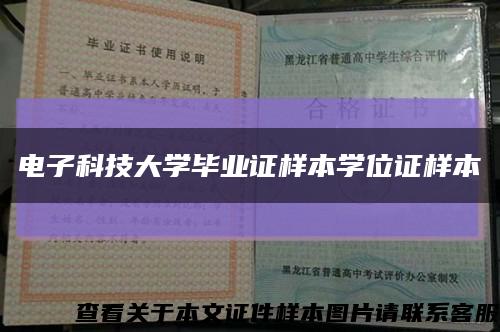 电子科技大学毕业证样本学位证样本缩略图