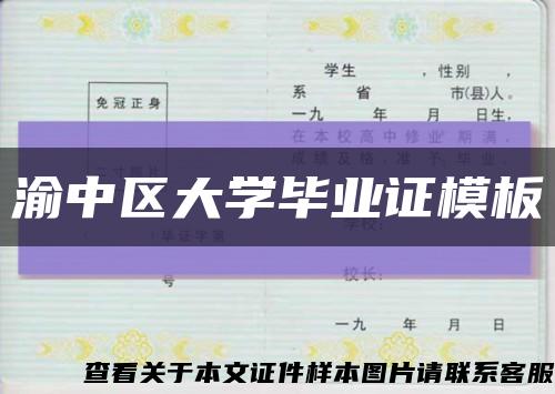 渝中区大学毕业证模板缩略图