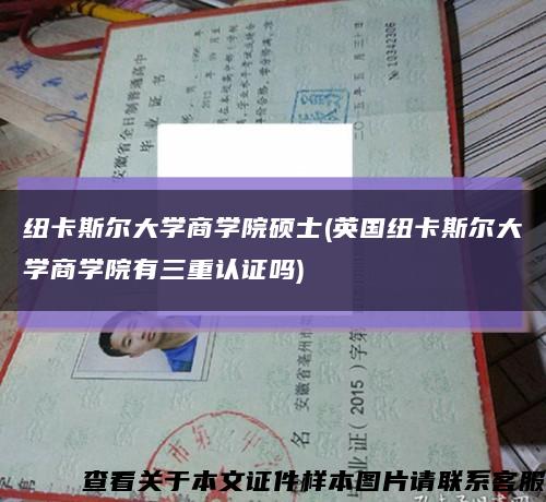 纽卡斯尔大学商学院硕士(英国纽卡斯尔大学商学院有三重认证吗)缩略图