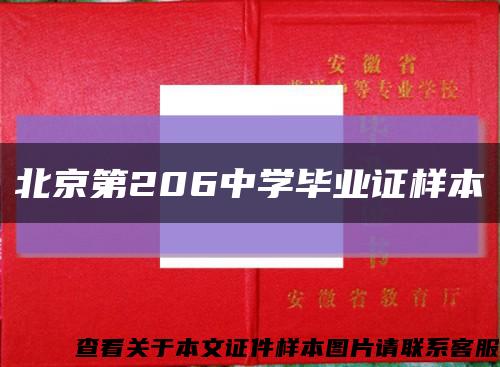 北京第206中学毕业证样本缩略图