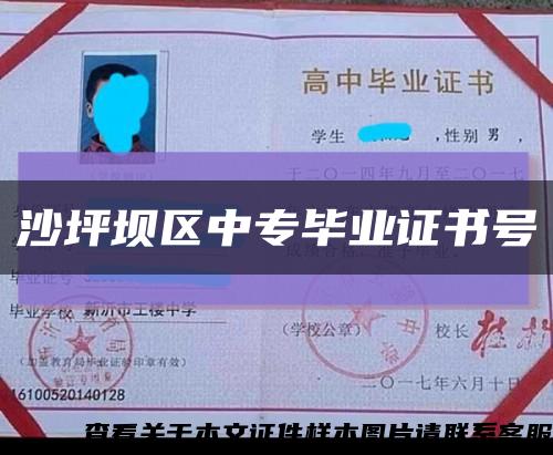 沙坪坝区中专毕业证书号缩略图