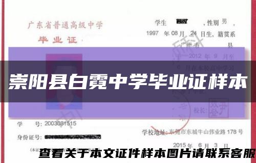崇阳县白霓中学毕业证样本缩略图