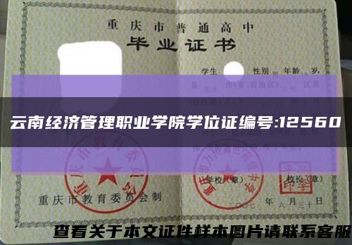云南经济管理职业学院学位证编号:12560缩略图