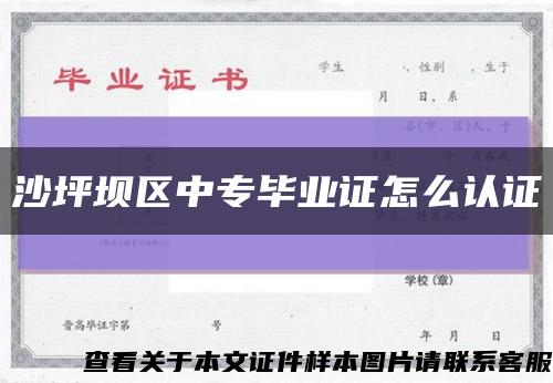 沙坪坝区中专毕业证怎么认证缩略图