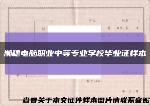 湘穗电脑职业中等专业学校毕业证样本缩略图