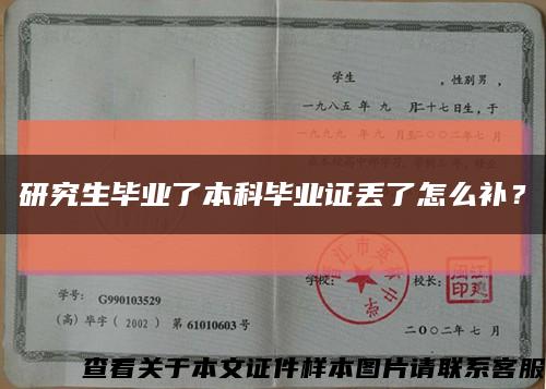 研究生毕业了本科毕业证丢了怎么补？缩略图