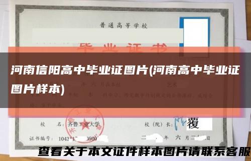 河南信阳高中毕业证图片(河南高中毕业证图片样本)缩略图