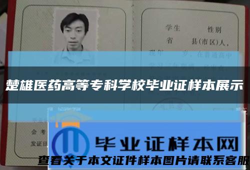 楚雄医药高等专科学校毕业证样本展示缩略图