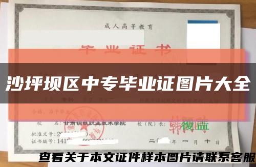 沙坪坝区中专毕业证图片大全缩略图