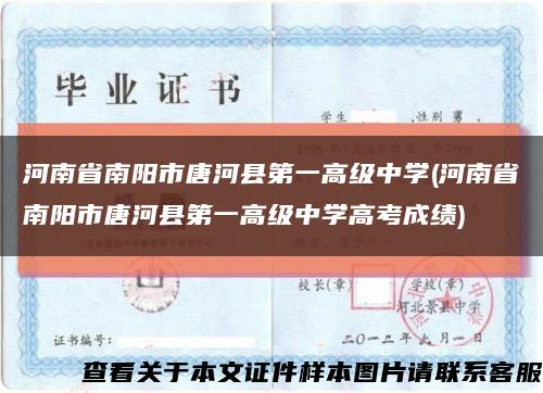 河南省南阳市唐河县第一高级中学(河南省南阳市唐河县第一高级中学高考成绩)缩略图