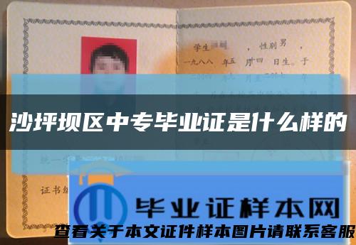沙坪坝区中专毕业证是什么样的缩略图