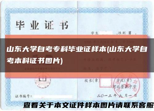 山东大学自考专科毕业证样本(山东大学自考本科证书图片)缩略图