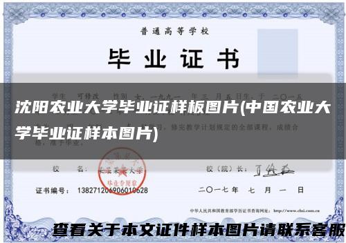 沈阳农业大学毕业证样板图片(中国农业大学毕业证样本图片)缩略图