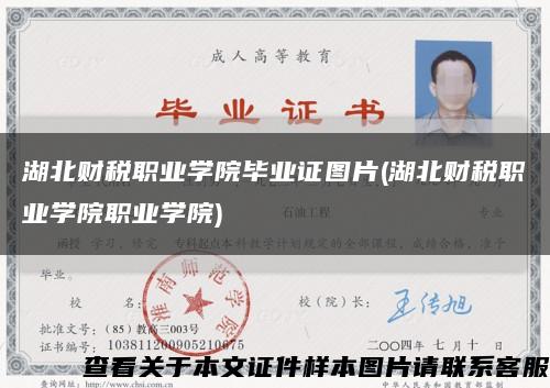 湖北财税职业学院毕业证图片(湖北财税职业学院职业学院)缩略图