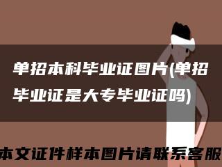 单招本科毕业证图片(单招毕业证是大专毕业证吗)缩略图