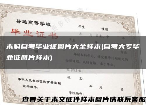 本科自考毕业证图片大全样本(自考大专毕业证图片样本)缩略图