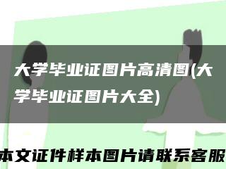 大学毕业证图片高清图(大学毕业证图片大全)缩略图