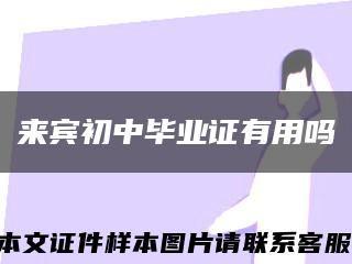 来宾初中毕业证有用吗缩略图
