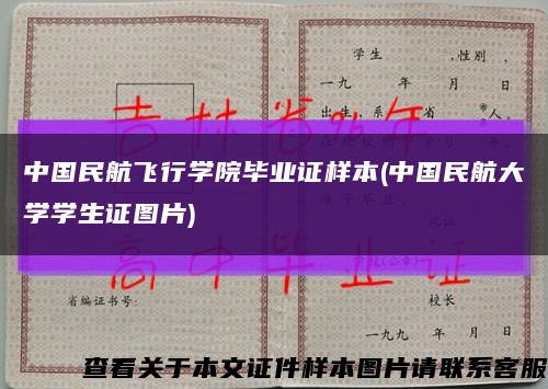 中国民航飞行学院毕业证样本(中国民航大学学生证图片)缩略图