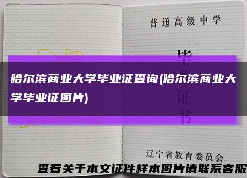 哈尔滨商业大学毕业证查询(哈尔滨商业大学毕业证图片)缩略图