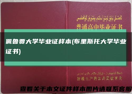 佩鲁贾大学毕业证样本(布里斯托大学毕业证书)缩略图