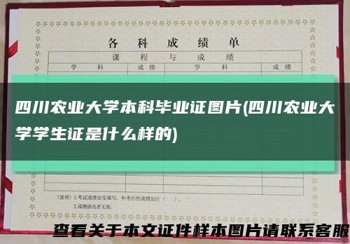 四川农业大学本科毕业证图片(四川农业大学学生证是什么样的)缩略图