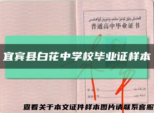 宜宾县白花中学校毕业证样本缩略图