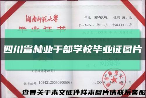 四川省林业干部学校毕业证图片缩略图
