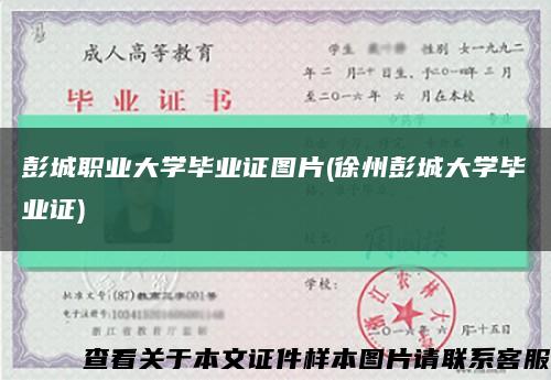 彭城职业大学毕业证图片(徐州彭城大学毕业证)缩略图