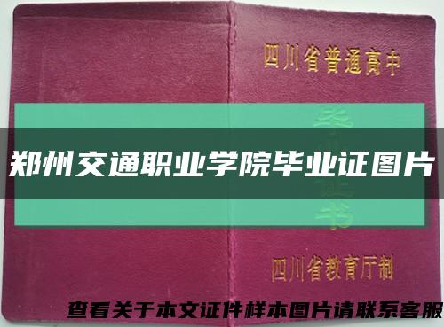 郑州交通职业学院毕业证图片缩略图